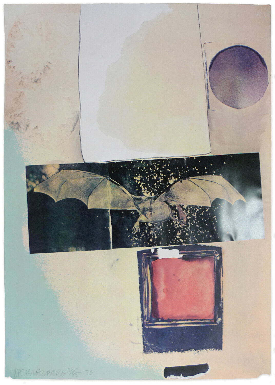 Rays Robert Rauschenberg Stampa in vendita