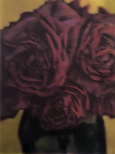 Les Roses by Sarah Moon, Photography for Sale on Singulart