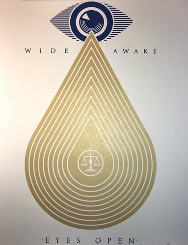 Wide Awakes Campaign 2020 Shepard Fairey Stay Woke Print Street Art Dump Trump par Shepard Fairey, Édition en vente sur Singulart