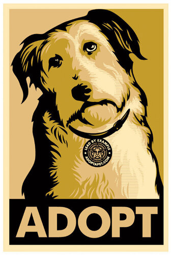 Adopt Gold Variant par Shepard Fairey, Édition en vente sur Singulart