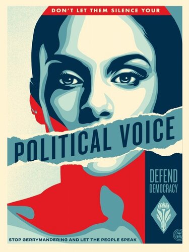 Political Voice von Shepard Fairey, Druck kaufen auf Singulart