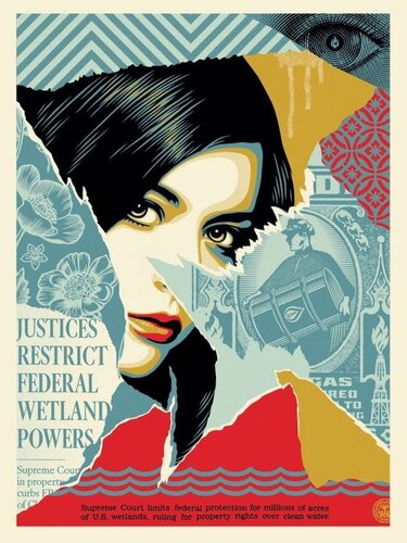Wetland Powers van Shepard Fairey, Afdruk te koop op Singulart