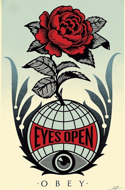 Eyes Open Shepard Fairey
