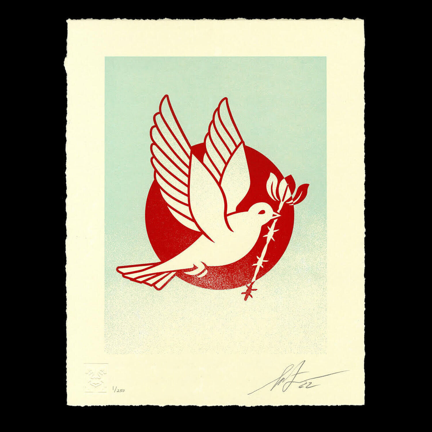 Barb Wire Dove Blue Shepard Fairey