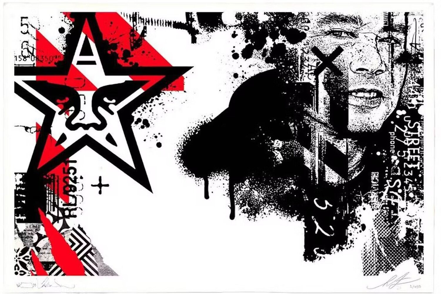 Portrait Shepard Fairey