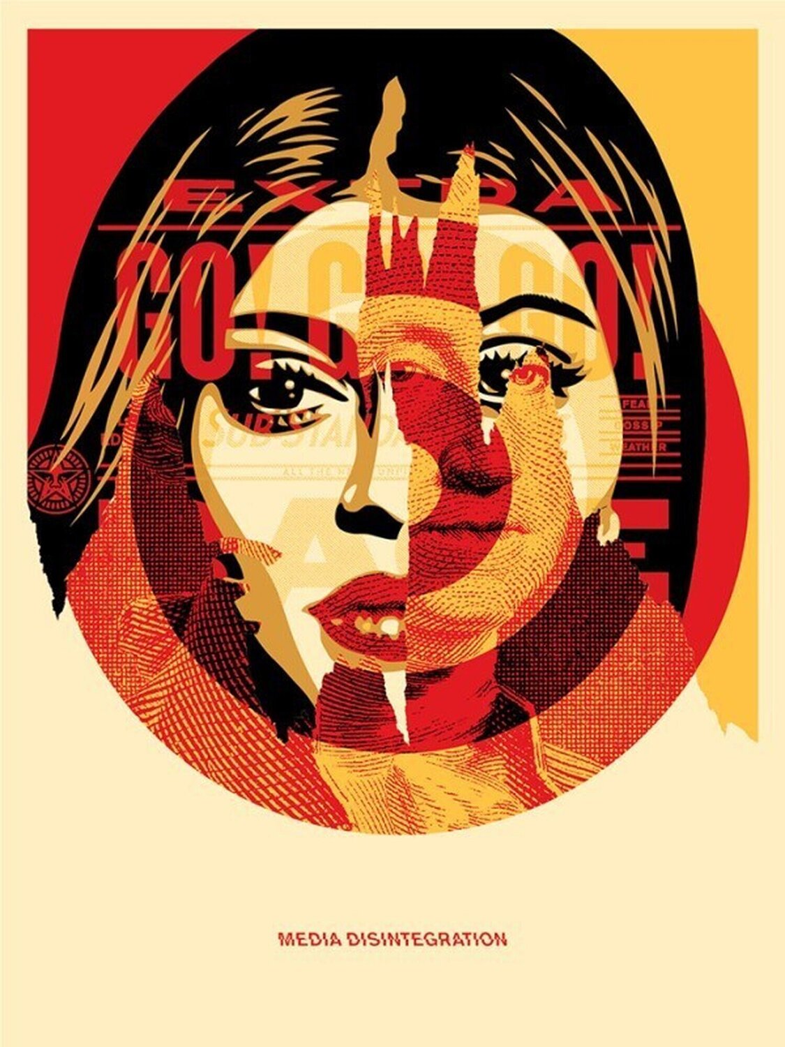 Media Target Shepard Fairey