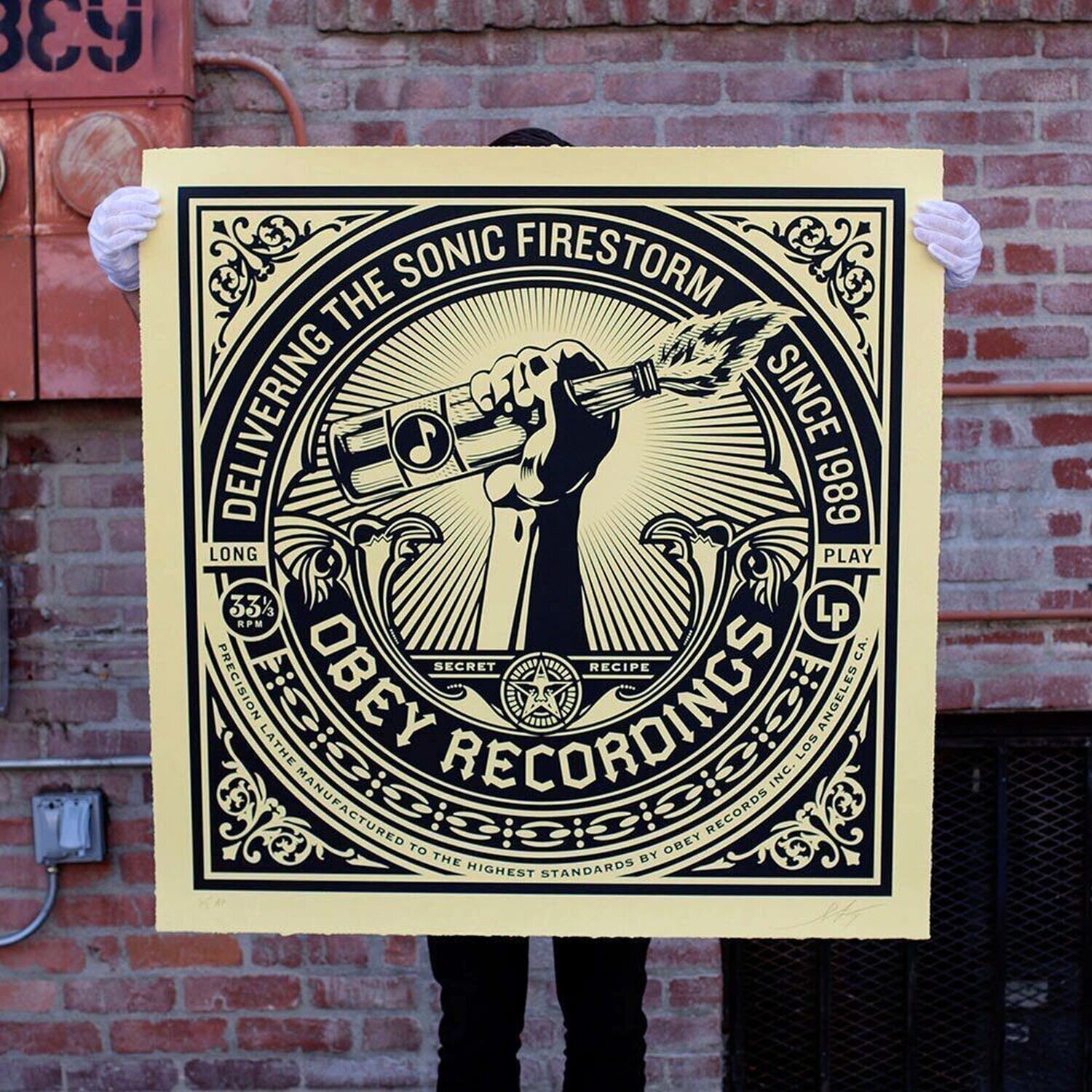 Sonic Firestorm Shepard Fairey