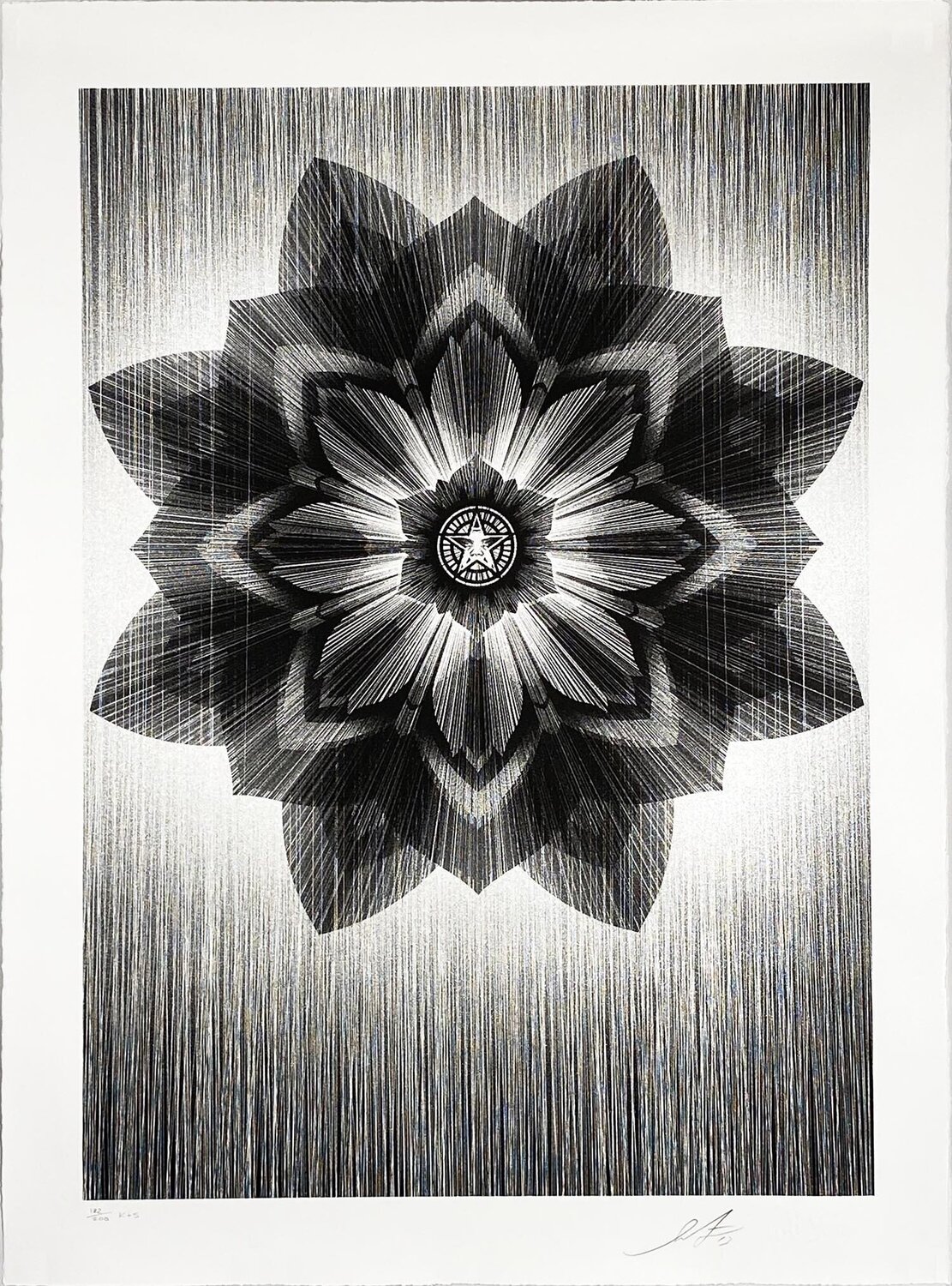 Obey x Kai + Sunny' (black/silver) Shepard Fairey