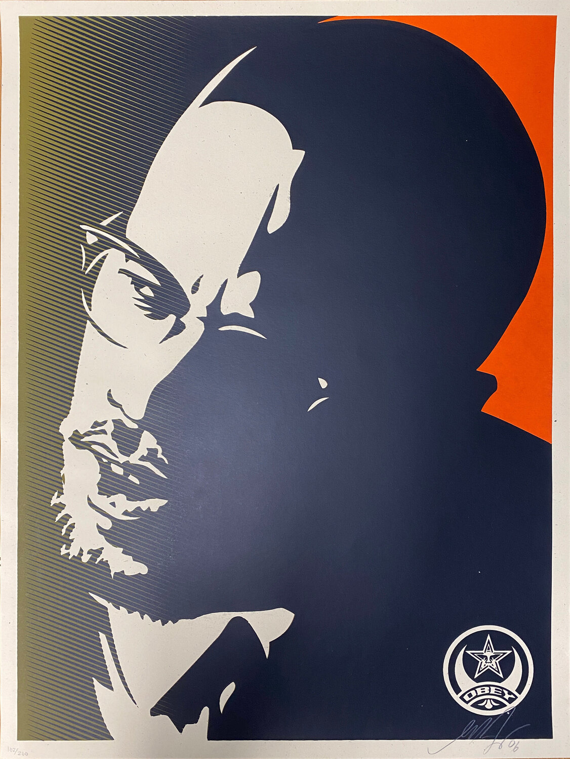 Malcolm X (Green) Shepard Fairey