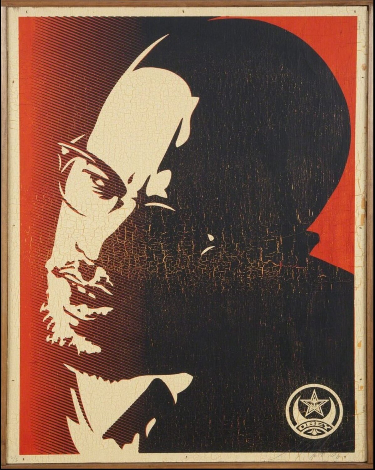 Malcolm X Shepard Fairey