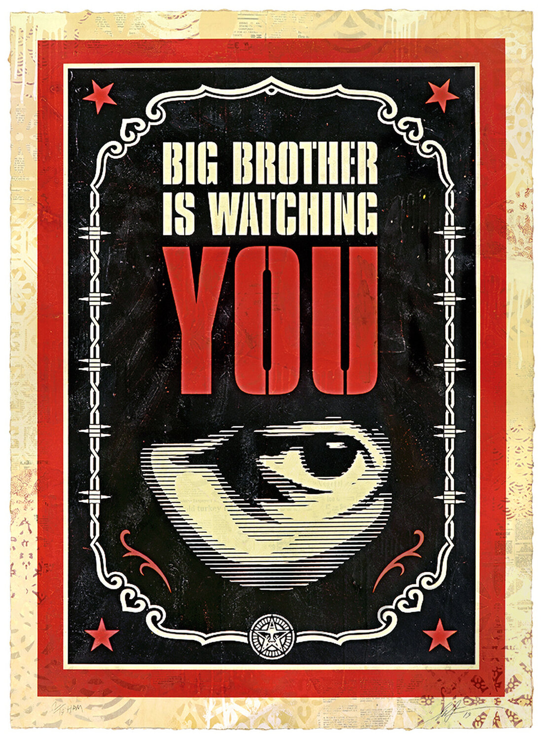 Big Brother is Watching You Shepard Fairey