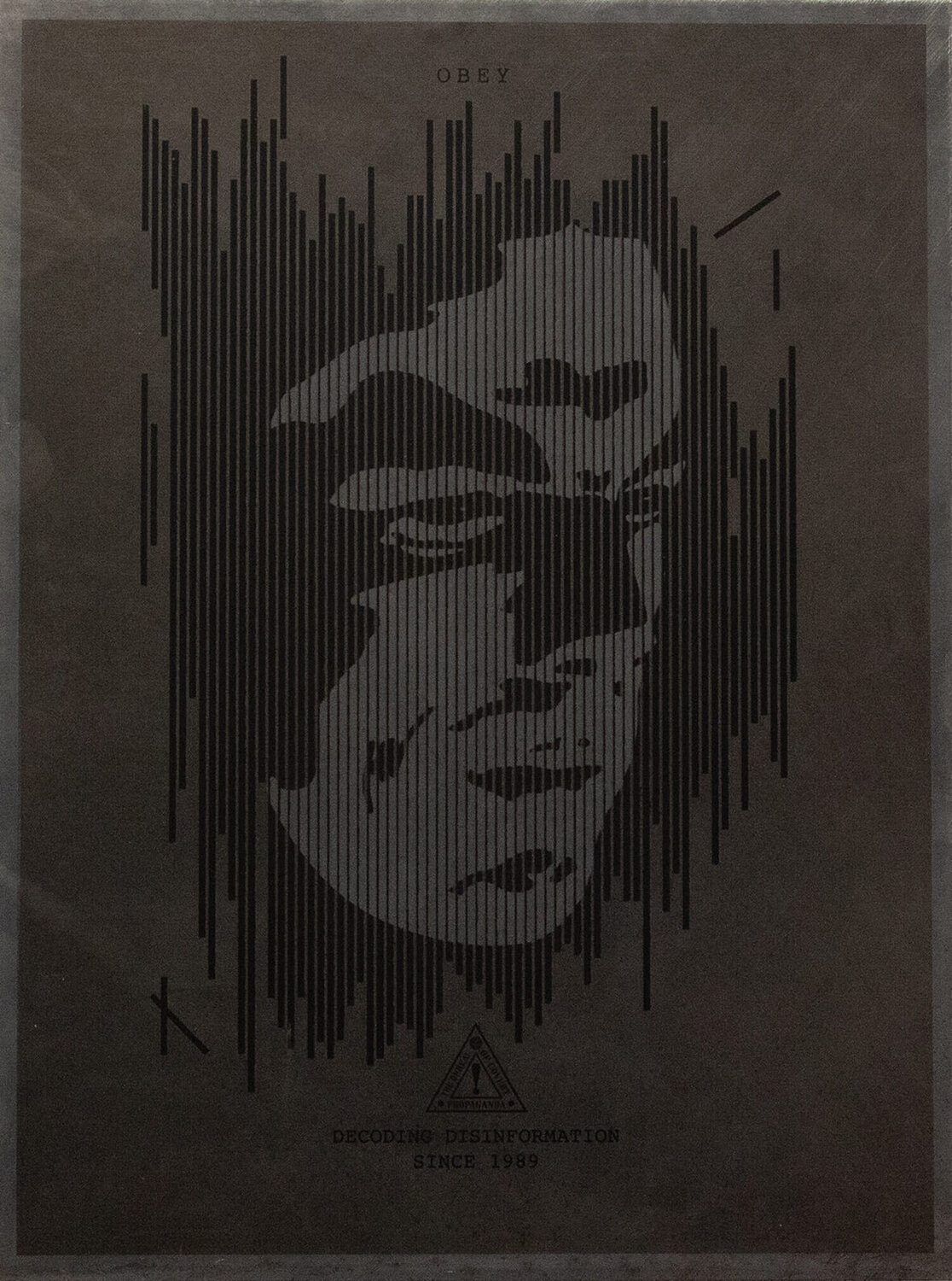 Decoding Disinformation (Silver) Shepard Fairey