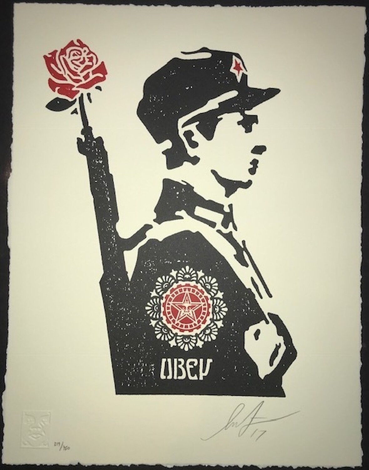 Rose Soldier Shepard Fairey