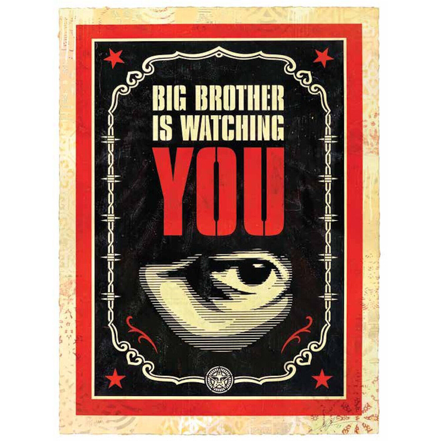 Big Brother is watching you Shepard Fairey