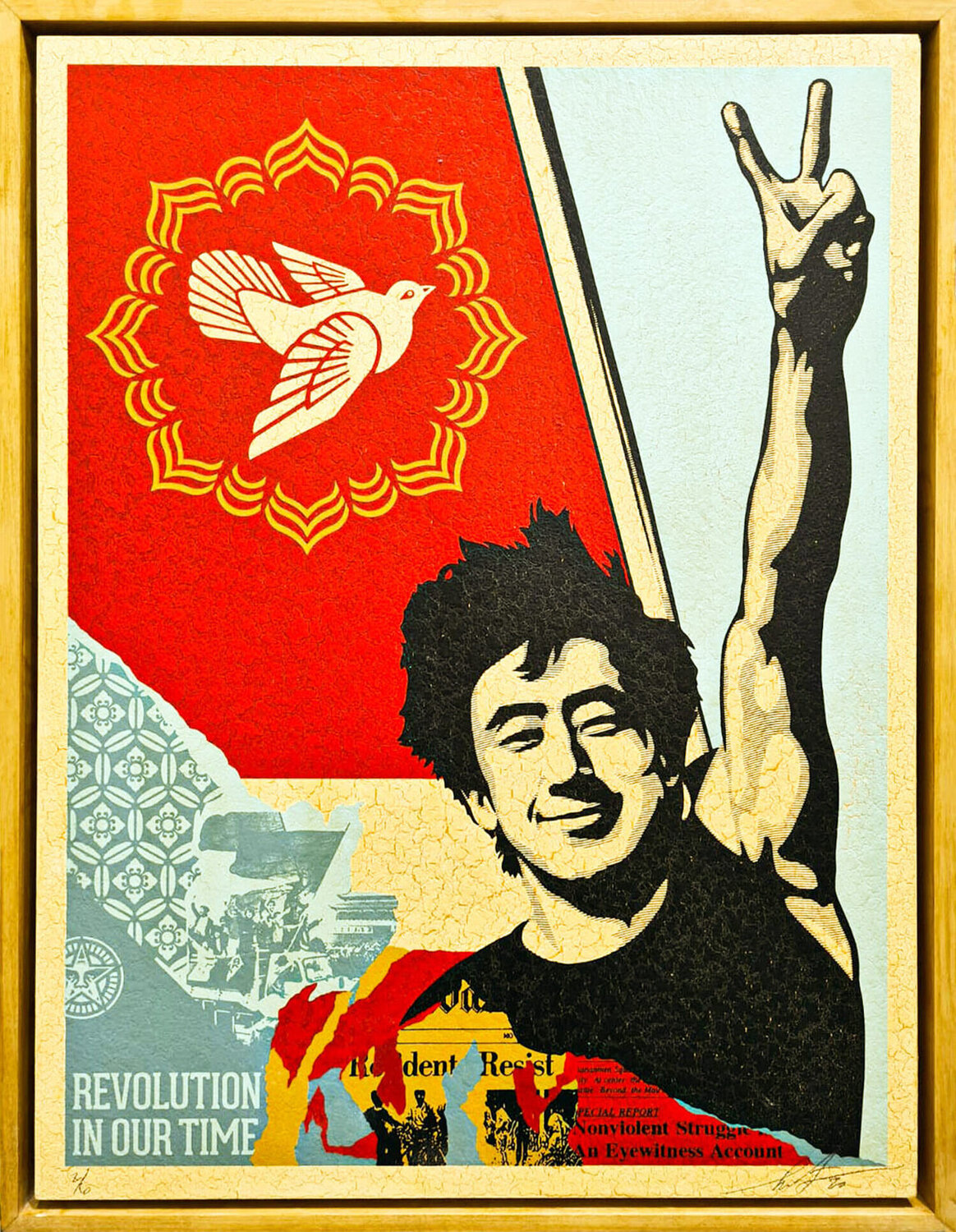 Revolution in our time Shepard Fairey