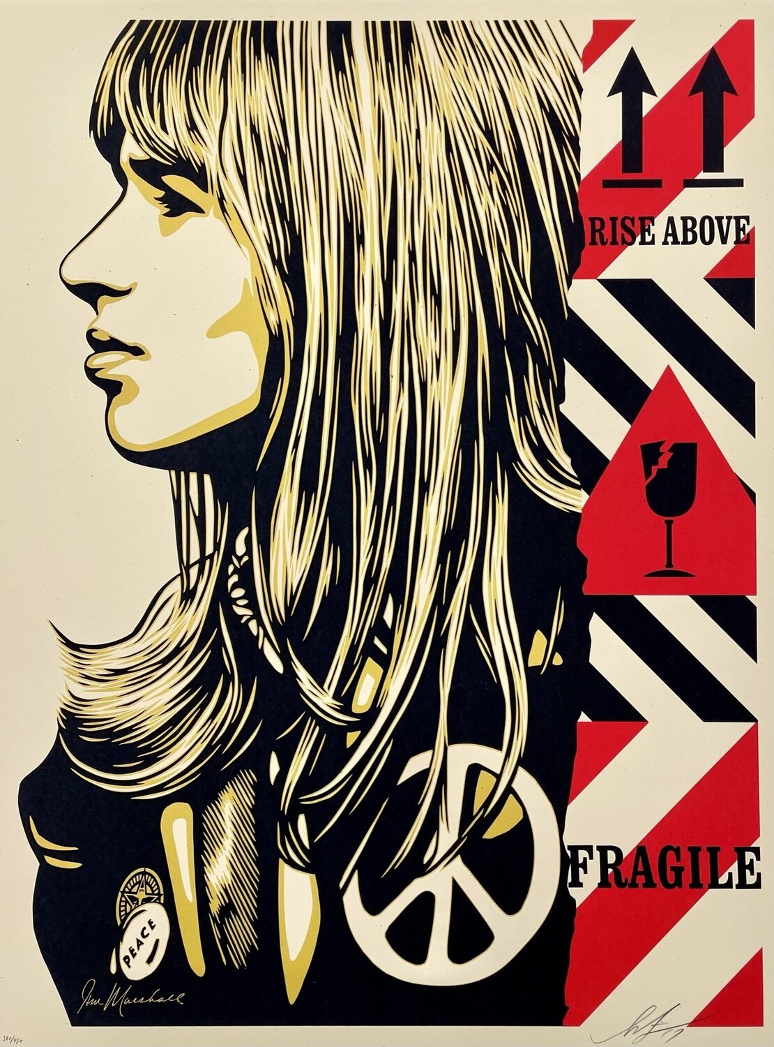 Fragile Peace Shepard Fairey