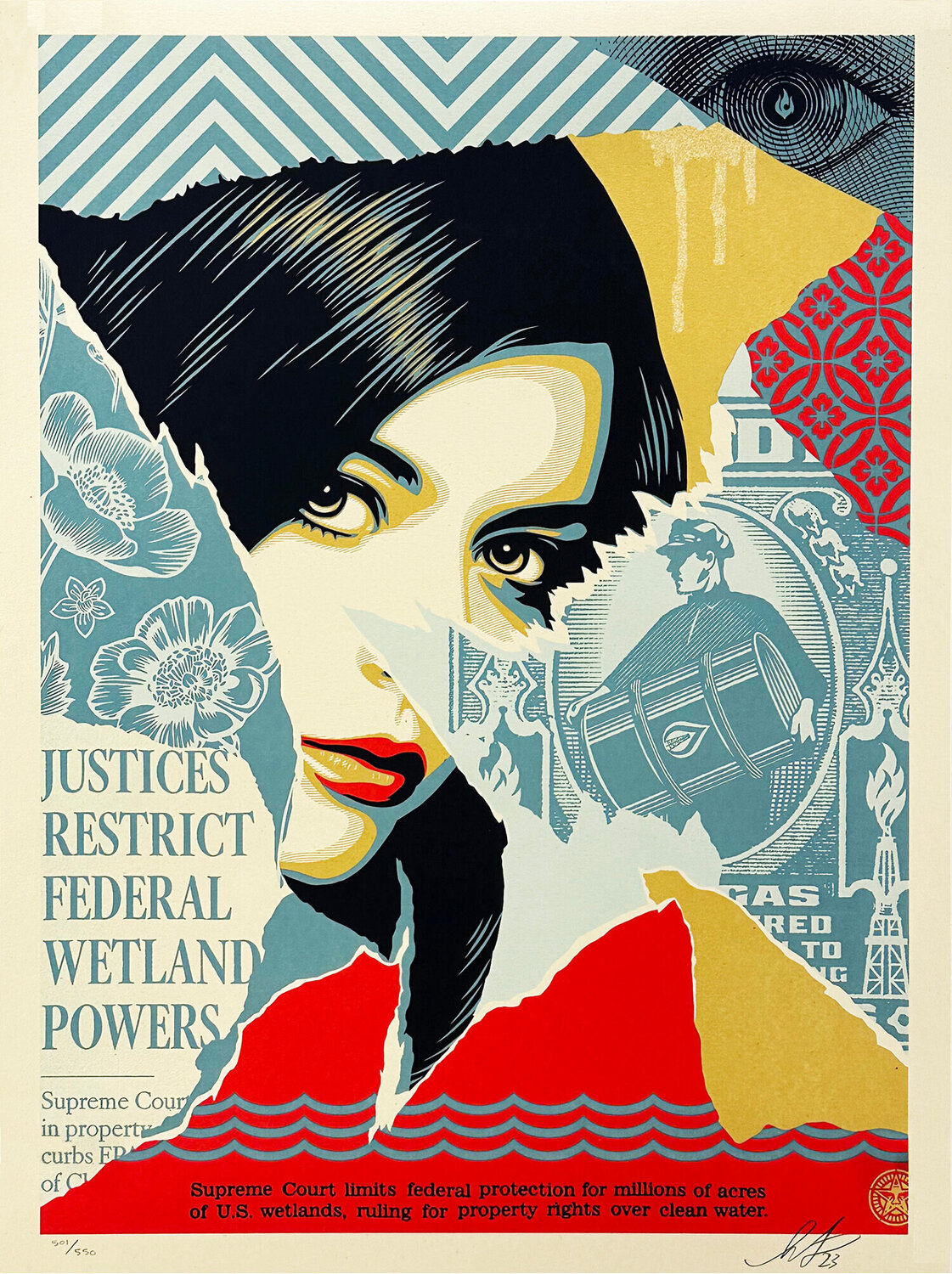 Wetland Powers' Shepard Fairey