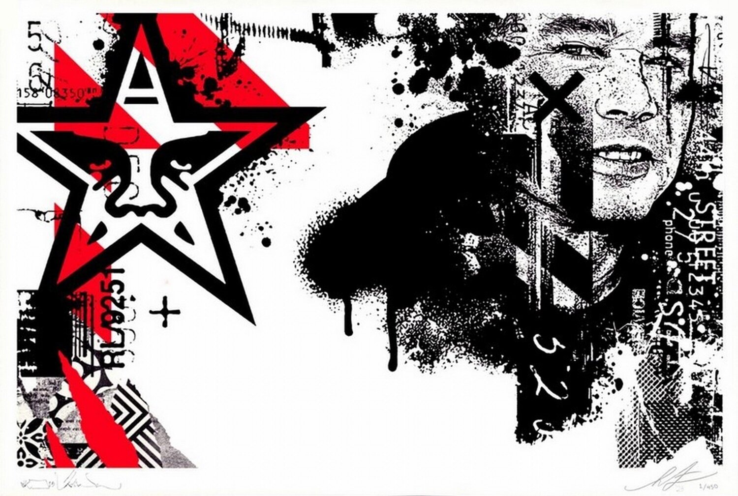 WK / Shepard Portrait Shepard Fairey