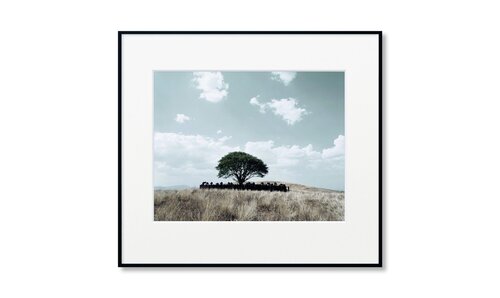 Untitled (Tooba) by Shirin Neshat, Photography for Sale on Singulart