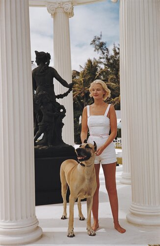 C.Z. Guest With Her Great Dane van Slim Aarons, Fotografie te koop op Singulart