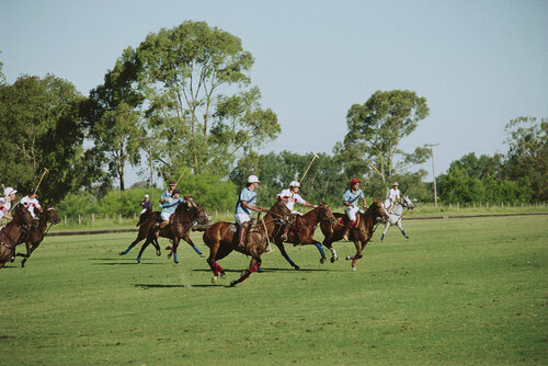 Slim Aarons 'Polo Match' by Slim Aarons, Photography for Sale on Singulart