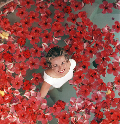 Slim Aarons 'Hibiscus Flowers' di Slim Aarons, Fotografia in vendita su Singulart