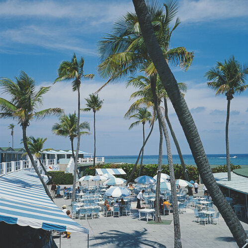 Slim Aarons 'Florida Palms' par Slim Aarons, Photographie en vente sur Singulart