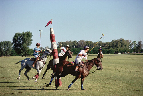 Slim Aarons 'Polo In Buenos Aires' by Slim Aarons, 写真 for Sale on Singulart