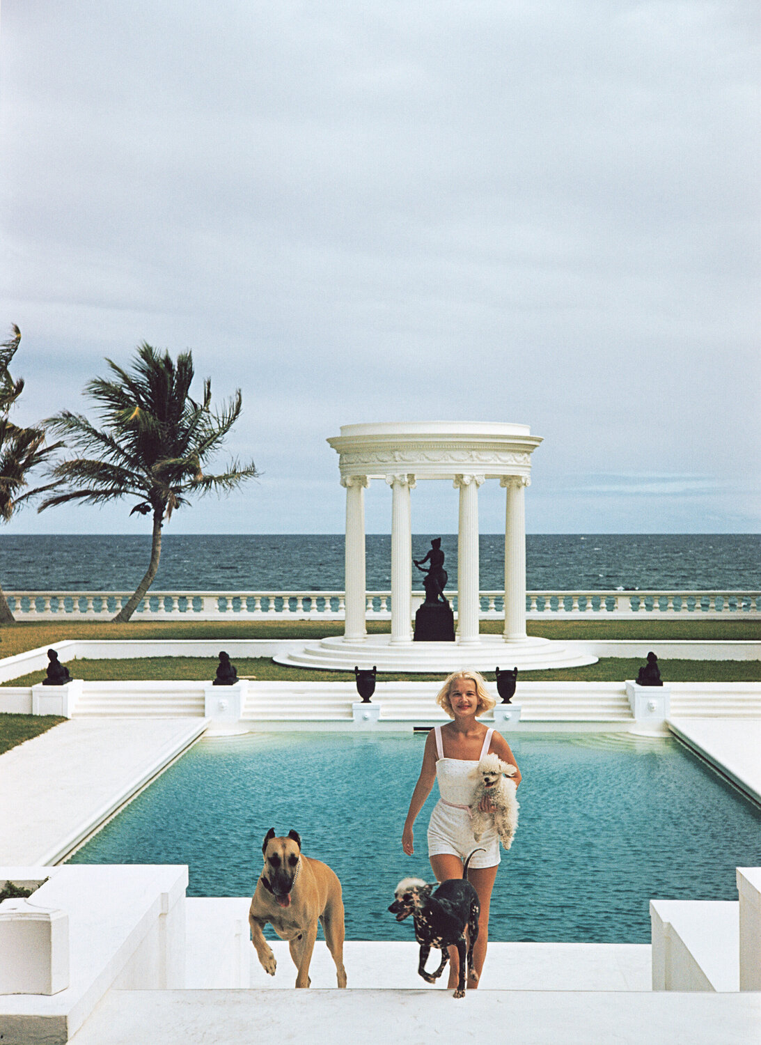 Slim Aarons 'CZ's Dogs' Slim Aarons Fotografie zu verkaufen