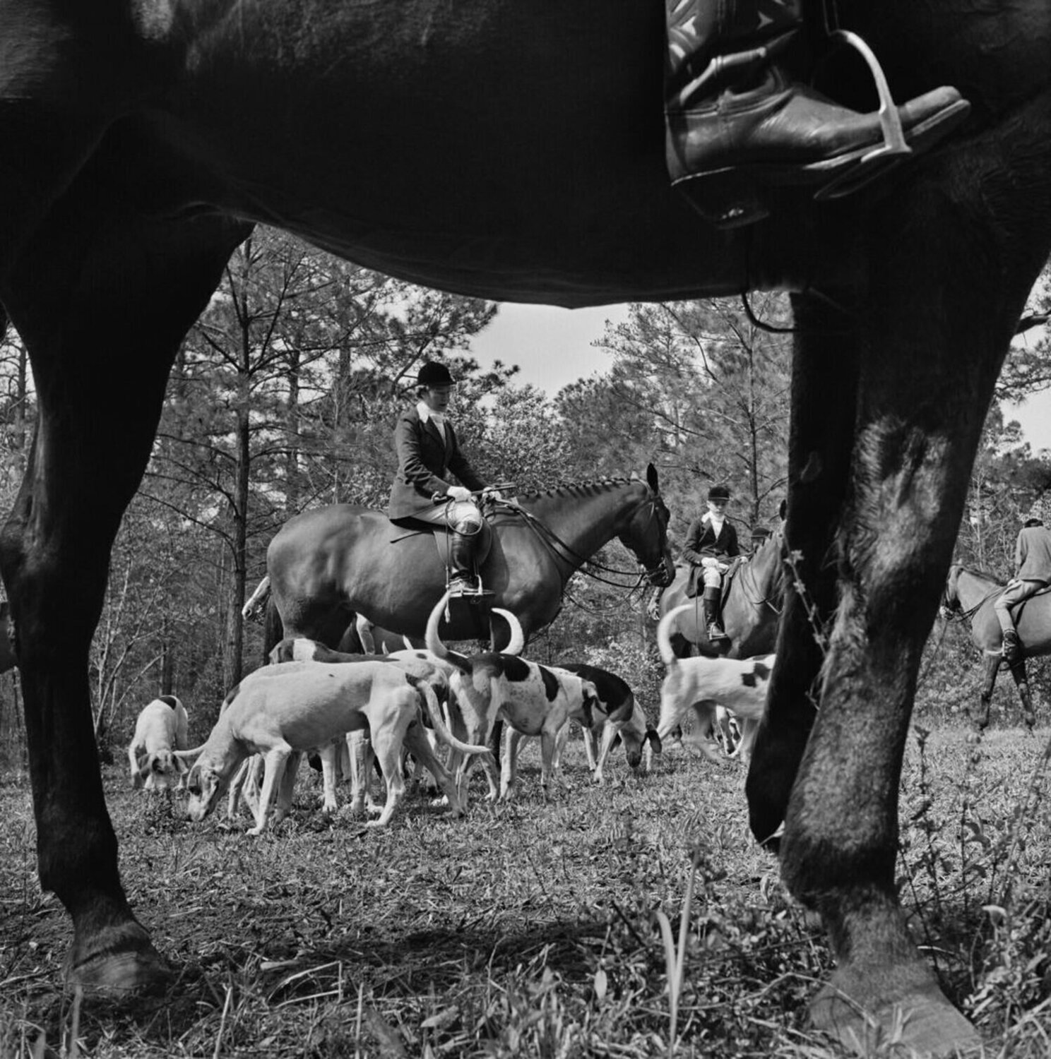 Slim Aarons 'Fox Hunt' Slim Aarons Fotografie te koop