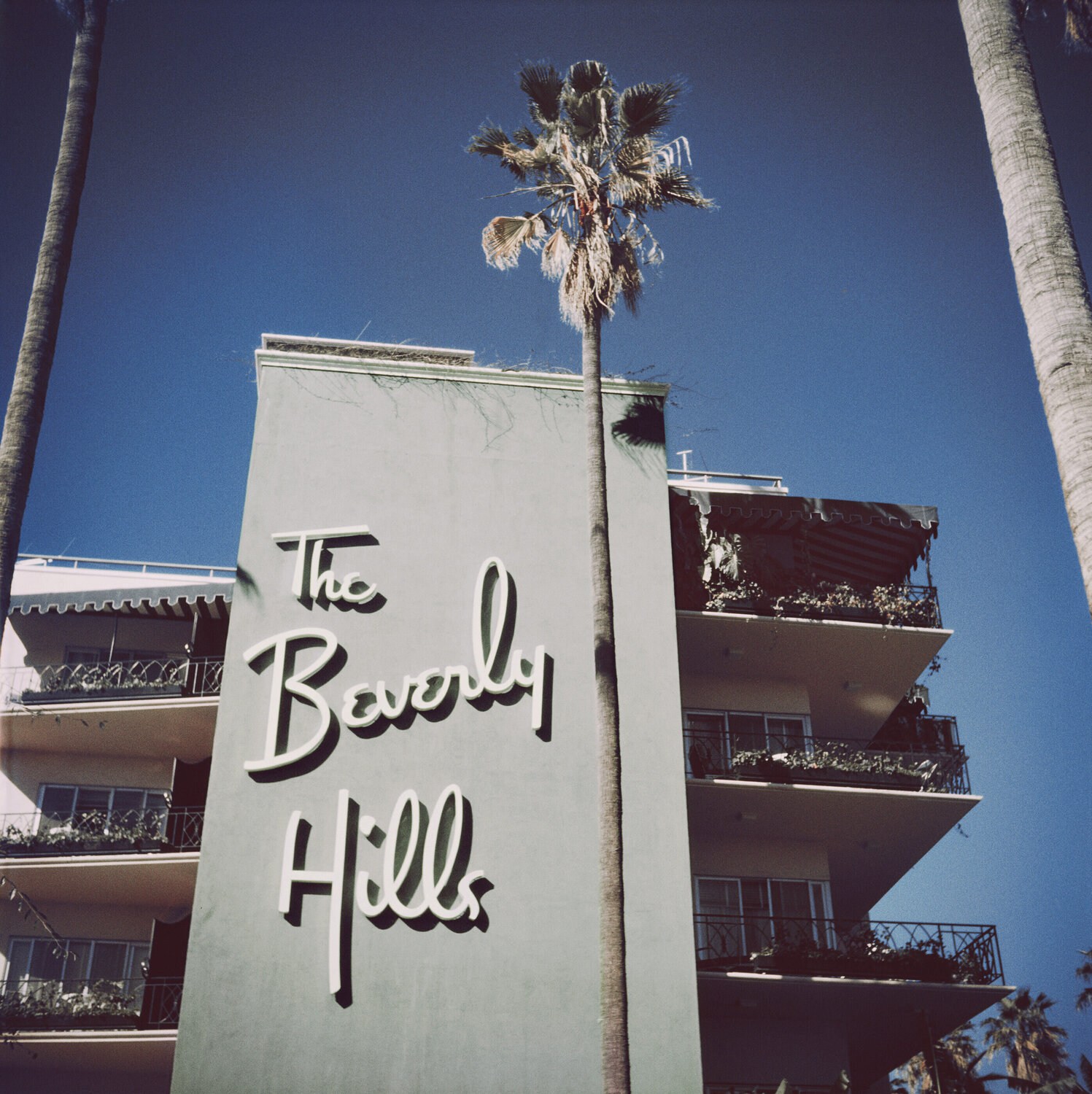 Slim Aarons 'Beverly Hills Hotel' Slim Aarons Photography for sale