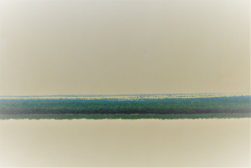Orilla by Tomás Sánchez, Painting for Sale on Singulart