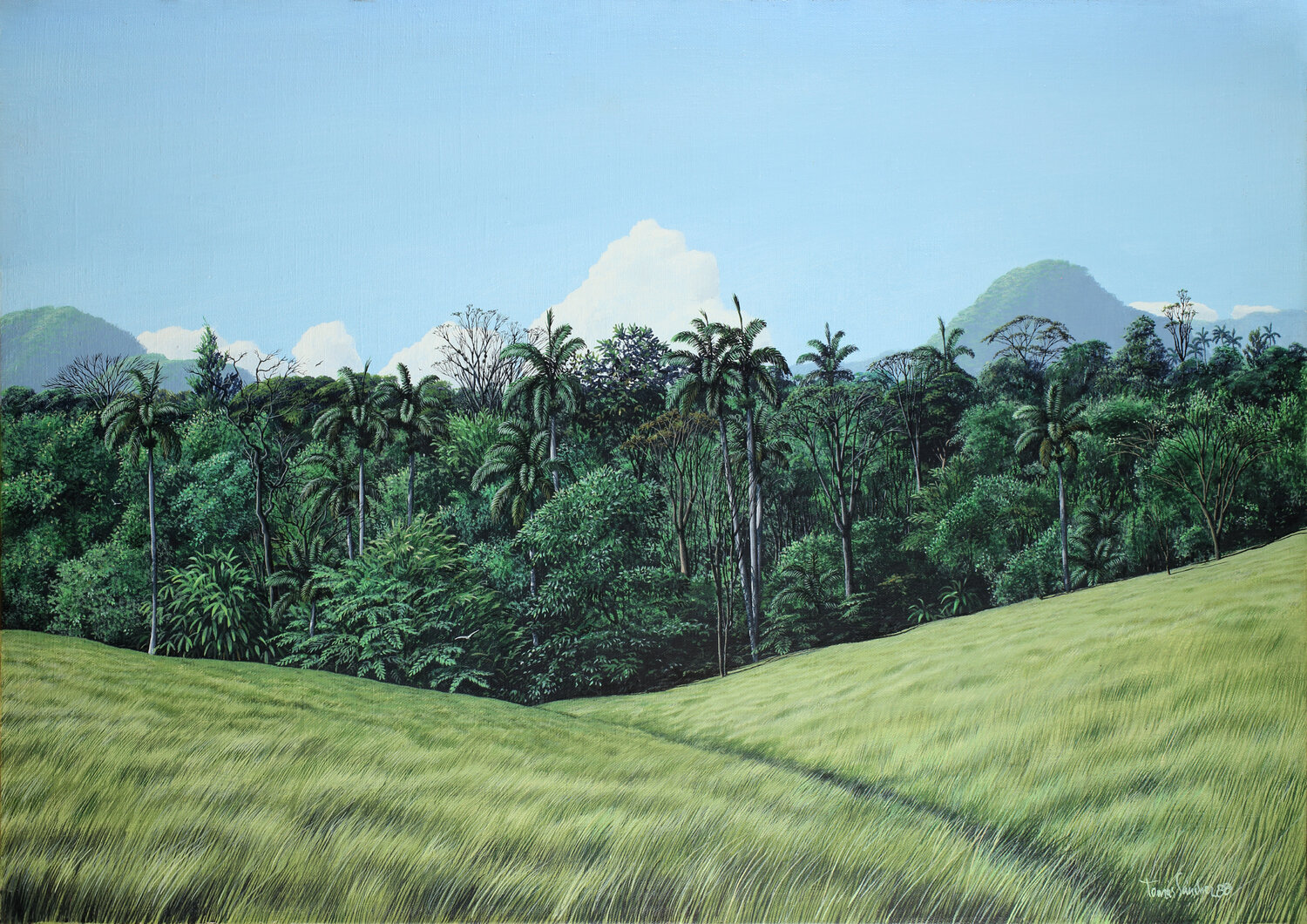 Paisaje Cubano( Cuban Landscape) Tomás Sánchez Originalgemälde zu verkaufen