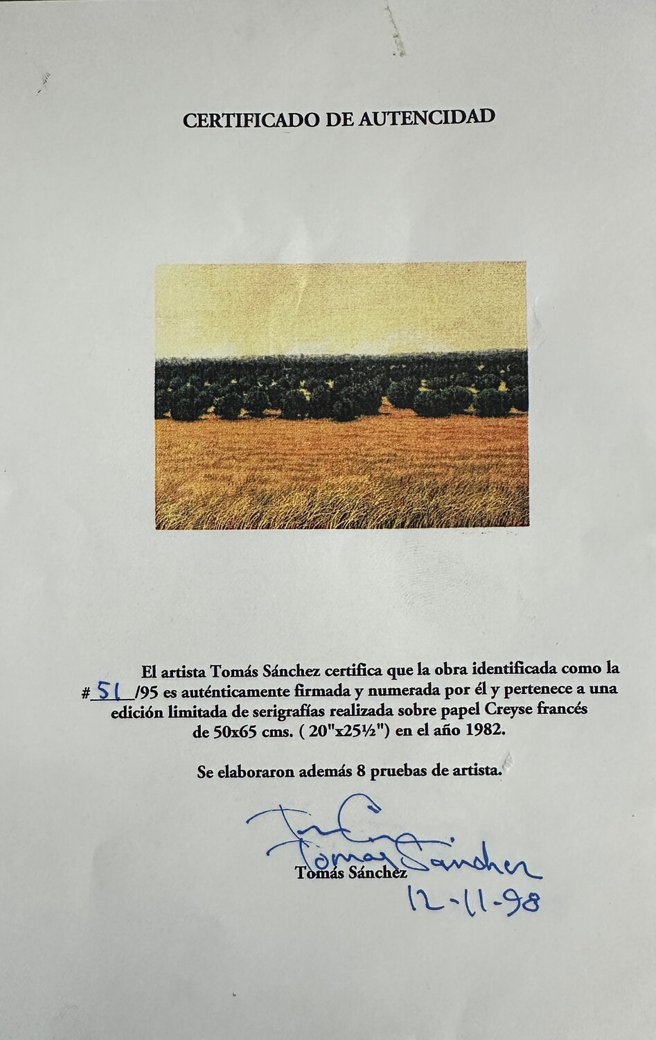 Untitled Tomás Sánchez Print for sale