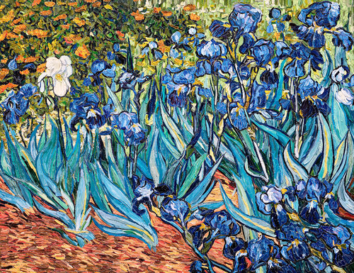 Irises, after Vincent Van Gogh, Brushstrokes by Vik Muniz, Photography for Sale on Singulart