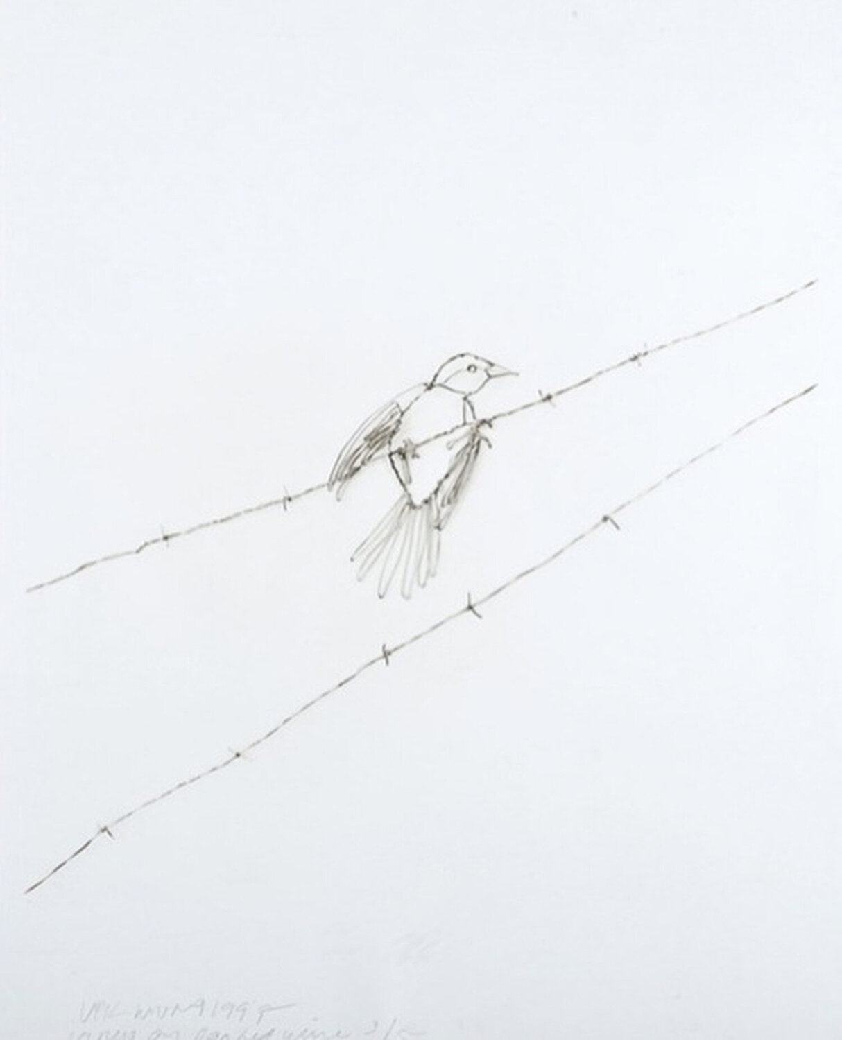 Vireo on Barbed Wire Vik Muniz Fotografie te koop