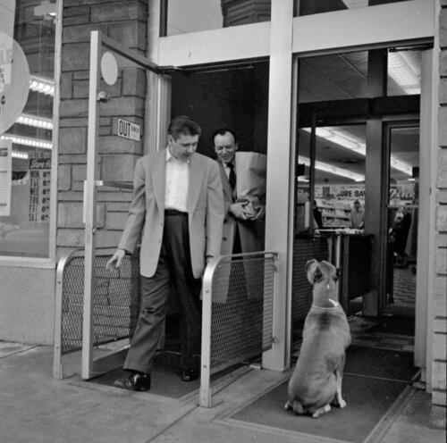 Men with Dog (VM19XXW04199_) van Vivian Maier, Fotografie te koop op Singulart