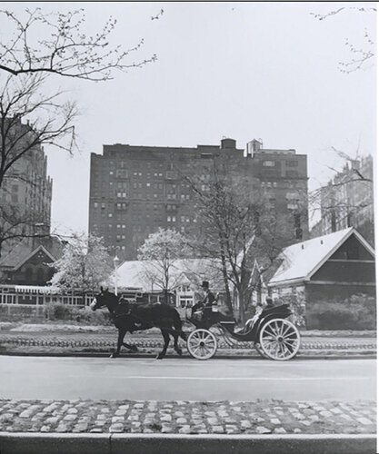 Untitled, n.d, Horse and Carriage Rare Lifetime print van Vivian Maier, Fotografie te koop op Singulart
