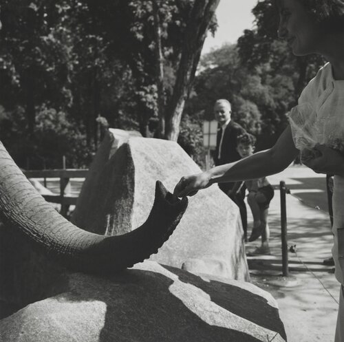 Untitled van Vivian Maier, Fotografie te koop op Singulart