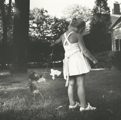PF121310, Untitled, Chicago, IL, June 1971 Girl with Cat van Vivian Maier, Fotografie te koop op Singulart