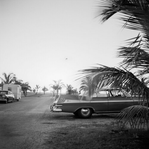 0129829 - x, n.d., Car with Palm Tree van Vivian Maier, Fotografie te koop op Singulart
