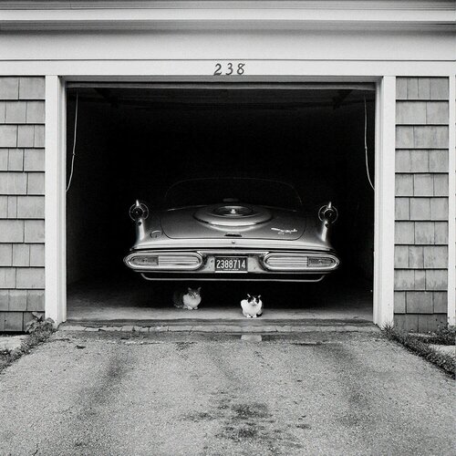 VM1957W02574-06-MC - Untitled, 1957, Cars in Garage with Cats van Vivian Maier, Fotografie te koop op Singulart