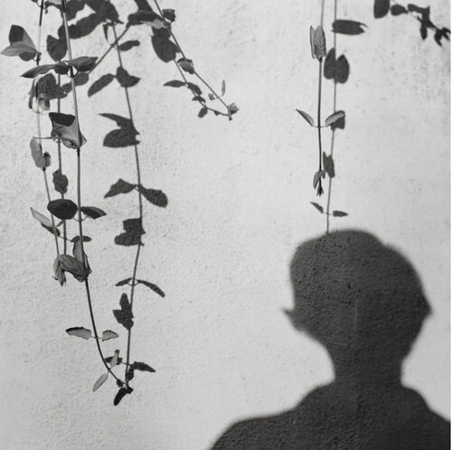 Self Portait van Vivian Maier, Afdruk te koop op Singulart
