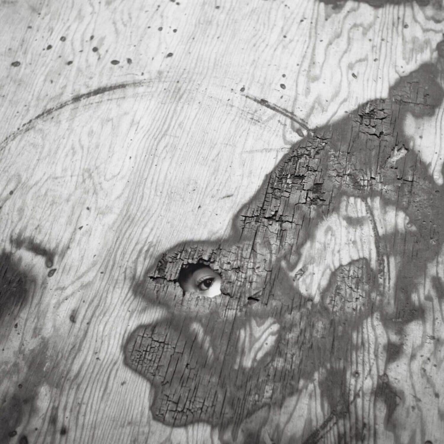 Chicago area Vivian Maier Fotografia in vendita