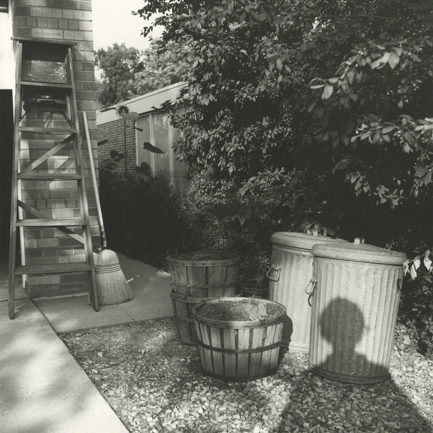 0129834 - Chicago area, 1966, Self-Portrait Shadow in Yard Vivian Maier Fotografie zu verkaufen