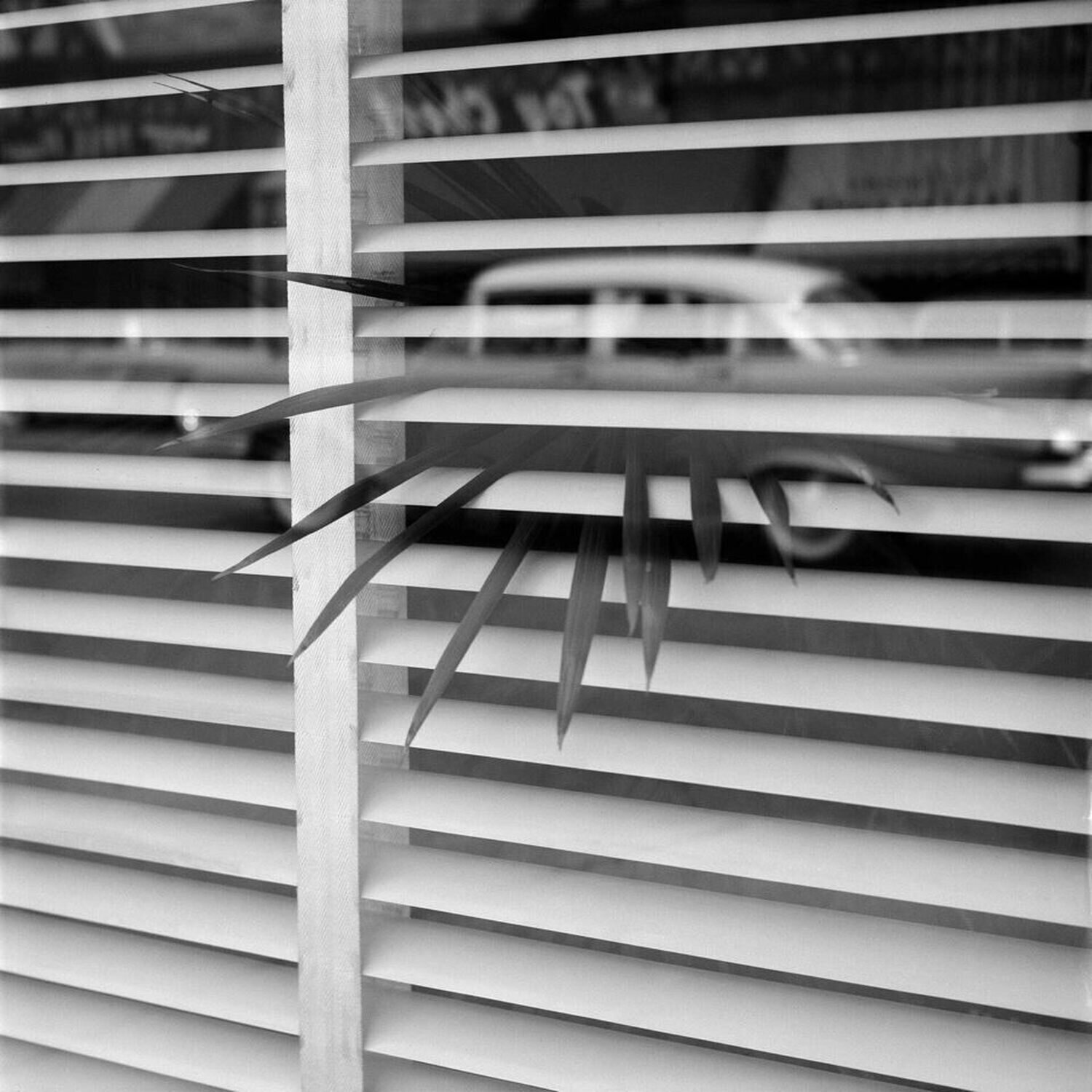 Untitled Vivian Maier Fotografie te koop