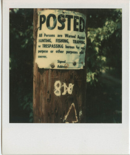 [ Signs on Telephone Pole ( variant )] di Walker Evans, Fotografia in vendita su Singulart