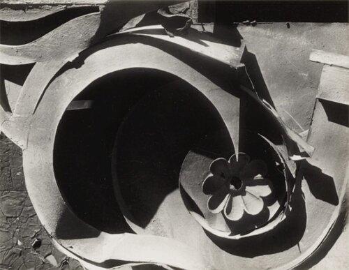Stamped Tin Relic, New York City, 1931, From the Full Walker Evans: Selected Photographs Portfolio di Walker Evans, Fotografia in vendita su Singulart