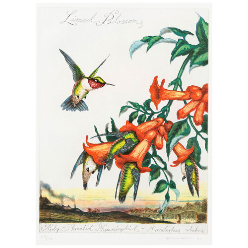 Limed Blossoms by Walton Ford, Print for Sale on Singulart