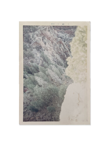 Untitled (Gully from Above with Pines) by William Eggleston, Photography for Sale on Singulart